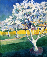 Apple Trees in Bloom