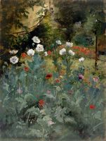 Poppies