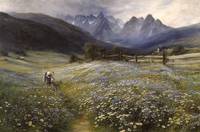 June in the Austrian Tyrol