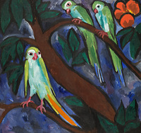 Parrots