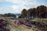 Albury Heath, Surrey