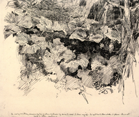 Foliage