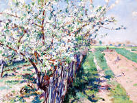 Fruit Trees in Bloom, Grez