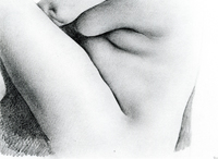 Nude Torso