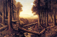 Landscape in the Adirondacks