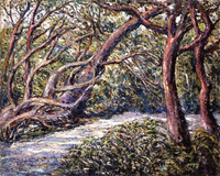 Path in the Forest