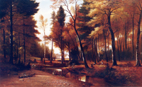 Autumn Picnic along the Stream