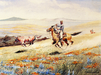 Runaway Steer