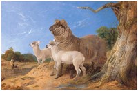 Ewe with Lambs