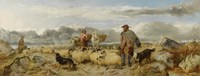 Gathering the Flock
